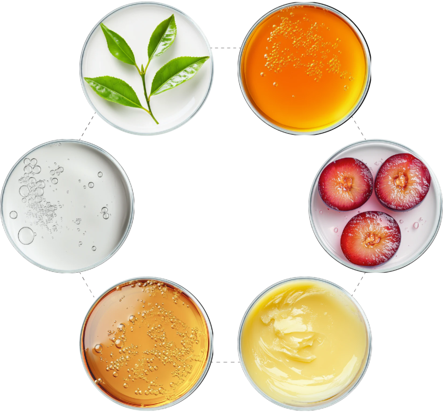 Trải nghiệm công nghệ MicroFusion tối ưu.