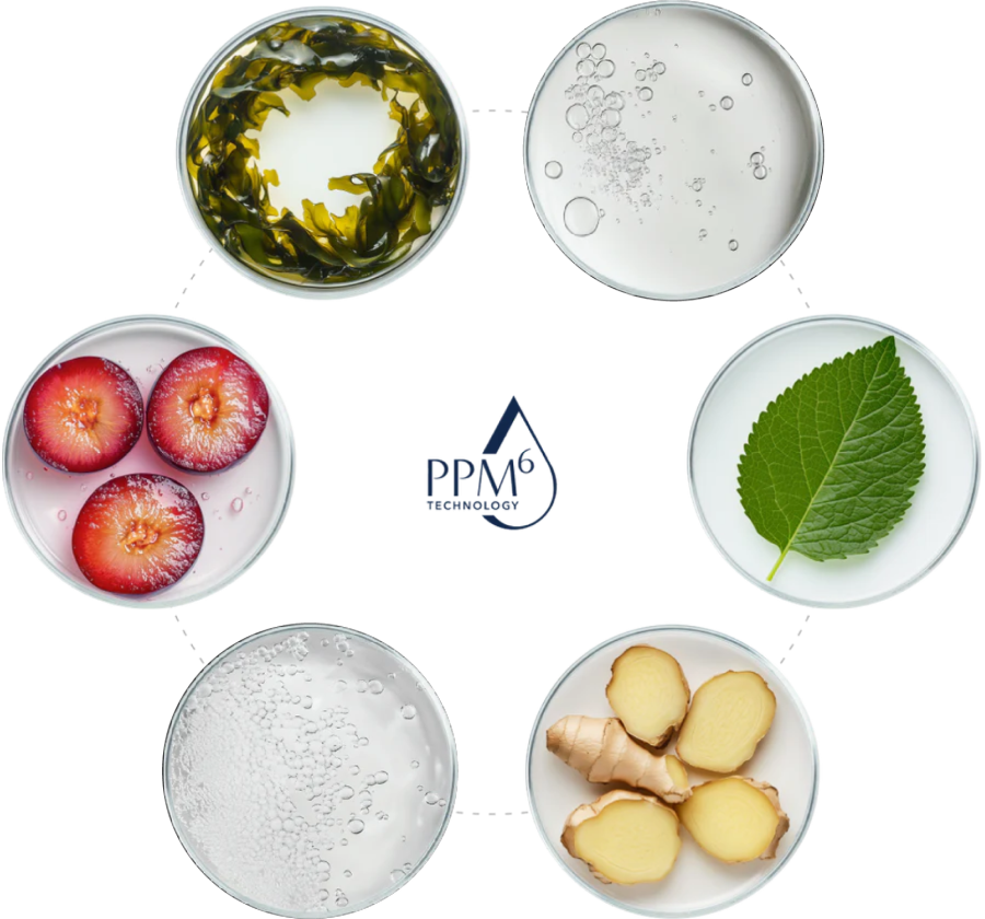 Công thức HA trọng lượng phân tử kép cùng với chuỗi 6 peptide.