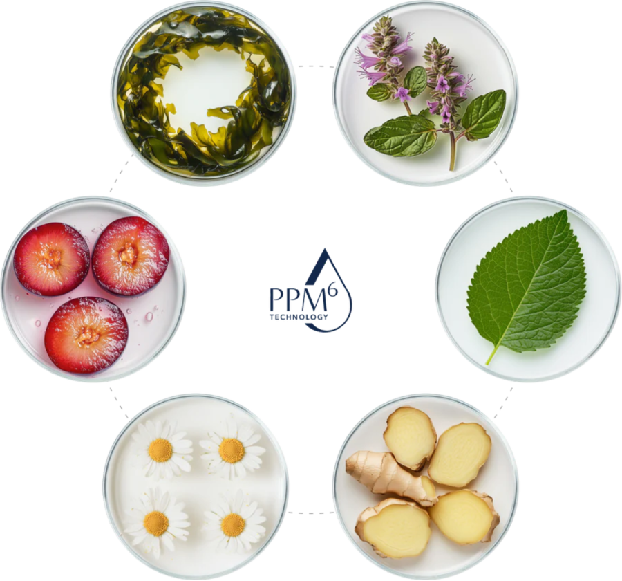 HA trọng lượng phân tử kép kết hợp cùng với chuỗi 6 peptide