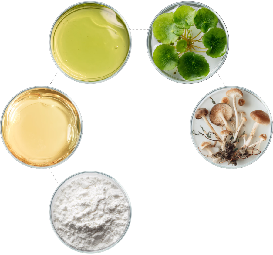 Công Nghệ RETAXOME kết hợp BIOMIMETIC EXOSOME