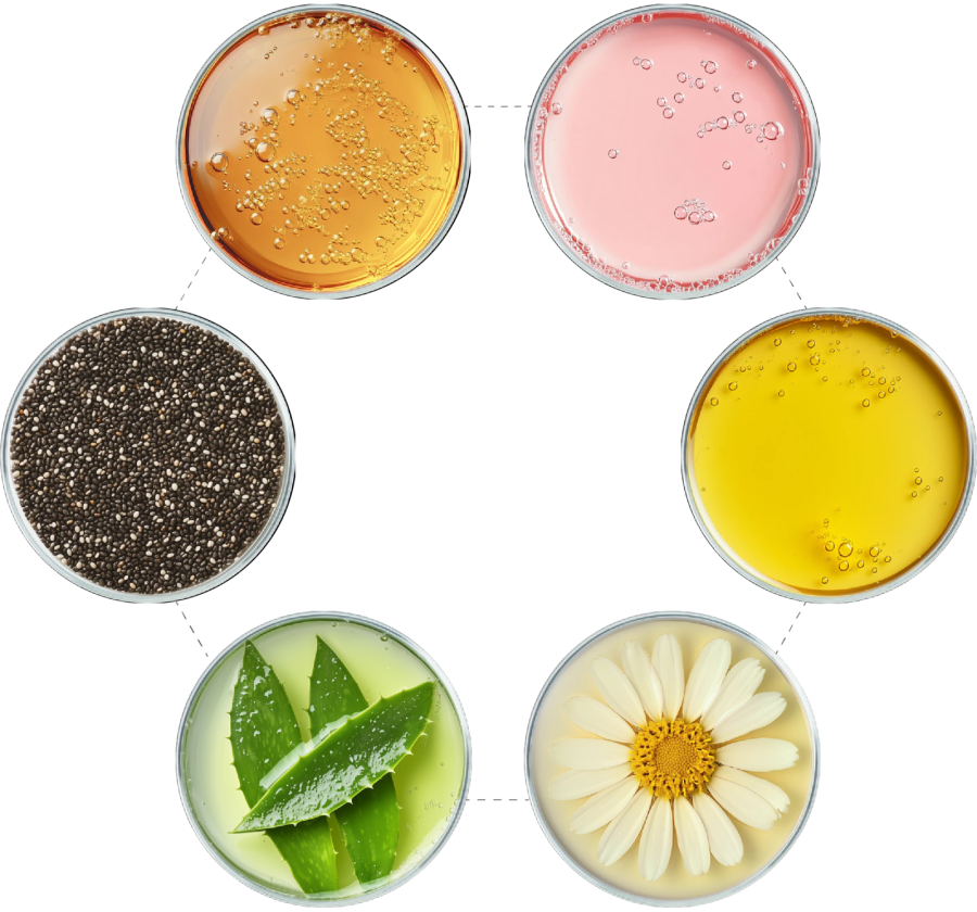 Trải nghiệm sự sạch sẽ tuyệt vời với công nghệ MicroFusion được cấp bằng sáng chế.